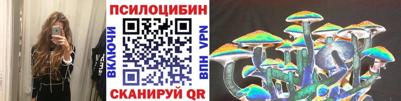 блэк спрут онион  Саров  Псилоцибиновые грибы Cubensis 
