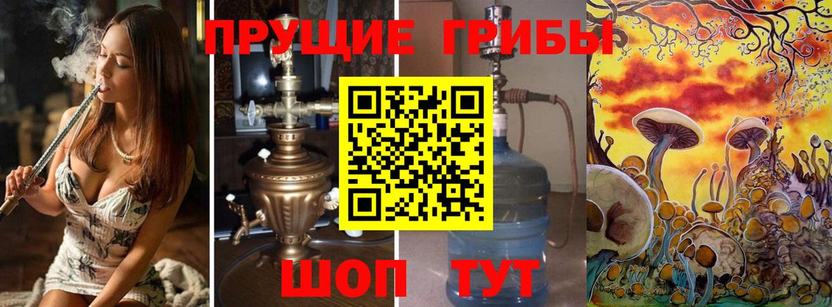 Саров  где можно купить   Вход с VPN  Псилоцибиновые грибы Magic Shrooms  Псилоцибиновые грибы Psilocybe 